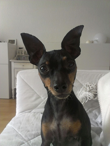 IMG-20190324-WA0001
