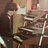 RabidMusic