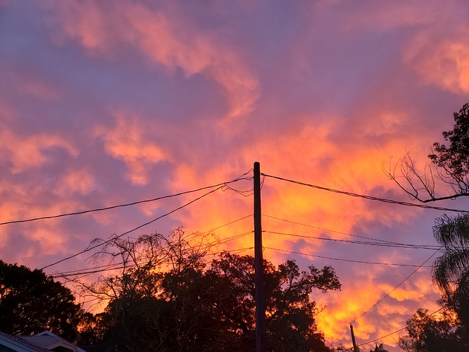 20190301_065210