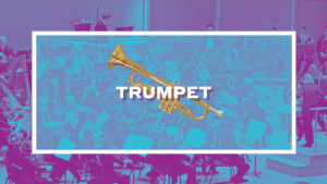 PlayOnWNY13trumpet