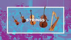 PlayOnWNY18strings