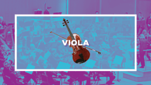 PlayOnWNY3viola