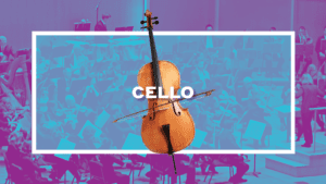 PlayOnWNY4cello