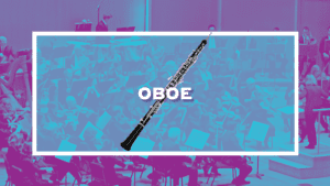 PlayOnWNY8oboe