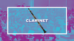 PlayOnWNY9clarinet